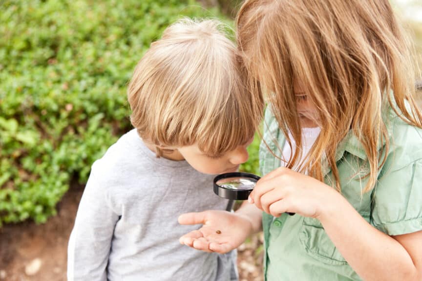 Boy and girl looking through magnifying glass on beetle
