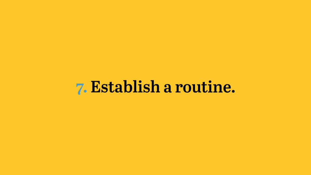 7. Establish a routine