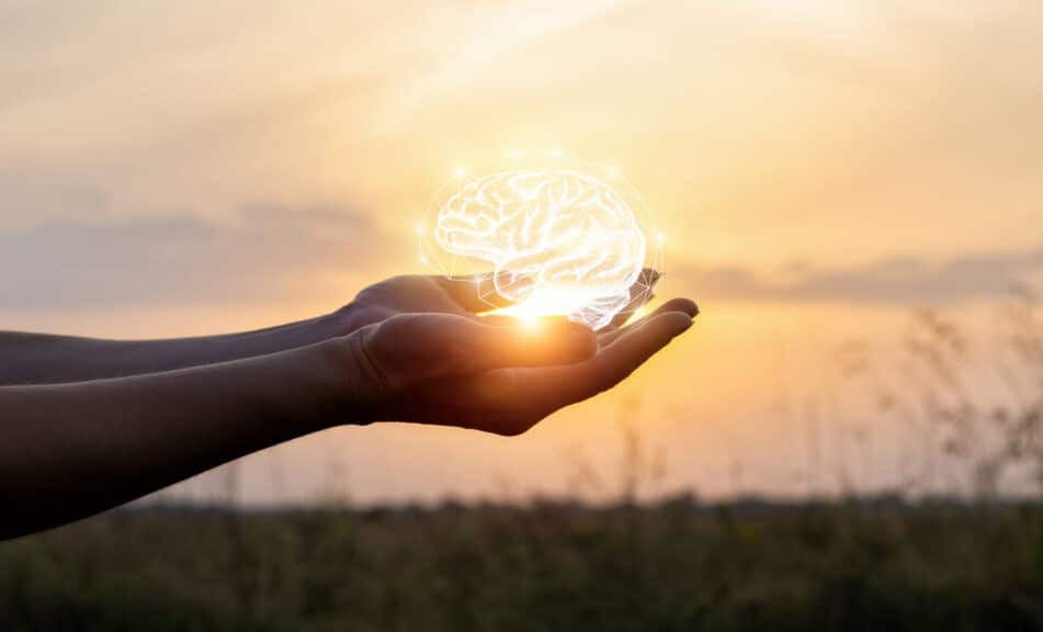 Hands support the brain in the sun