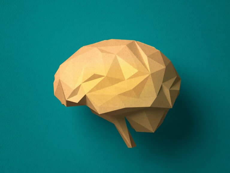 Paper-craft-Brain