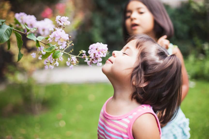 Toddler girl smelling flowers In garden