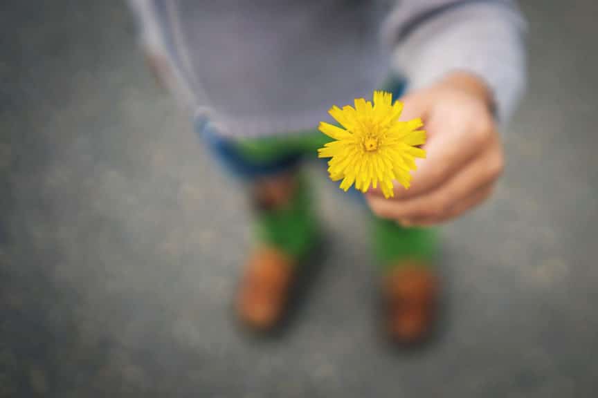 Boy holding a yellow dandelion flower