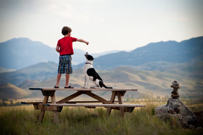 boy on picnic table training his dog