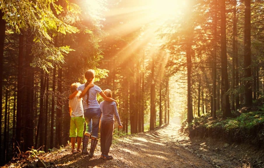 Kids watching beautiful sun beams in forest