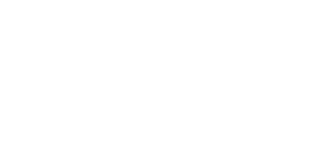 Ministry Spark logo white