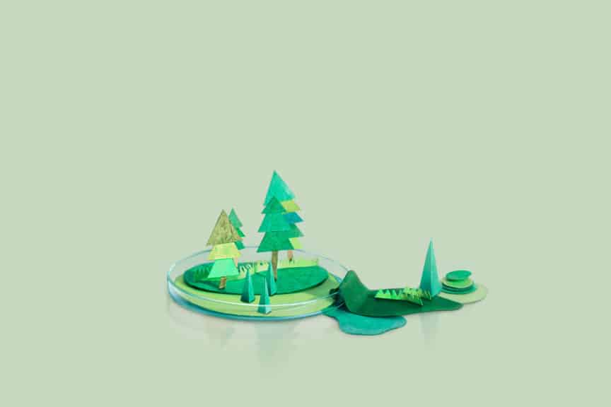 Paper Craft mountains and trees on a petri dish