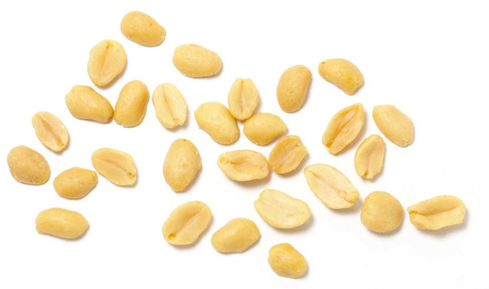 peanuts on white background