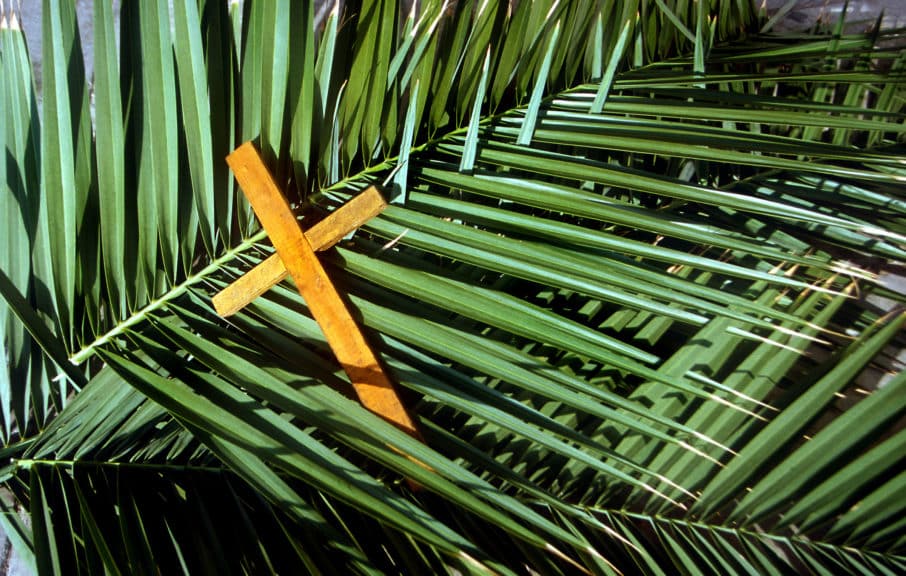 Wooden Cross on palm leafs Palm Sunday